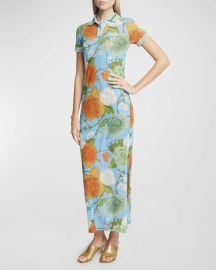 Loewe x Paula s Ibiza Rose Printed Long Polo Dress at Neiman Marcus