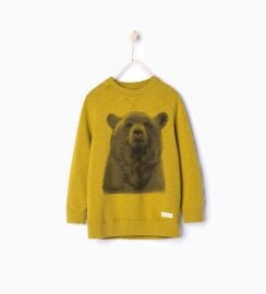 Long Bear Sweatshirt at Zara