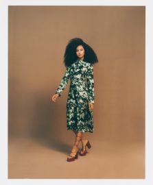 Long Sleeve Shirt Dress in Green Abstract Fish Tail Silk Jonathan Cohen at Jonathan Cohen