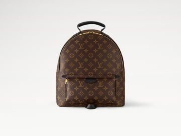 Louis Vuitton Palm Springs MM Backpack at Louis Vuitton