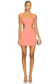 Lovers And Friends Daya Mini Dress In Coral Pink at Revolve