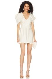 Lovers and Friends Ella Mini Dress at Revolve