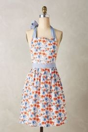 Lucerne Apron at Anthropologie