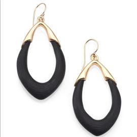 Lucite Orbit Link Drop Earrings at Alexis Bittar