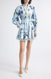 Lucy Floral Long Sleeve Minidress at Nordstrom