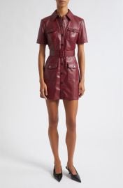 Lydia Faux Leather Snap Front Minidress at Nordstrom