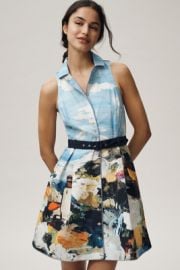 Maeve Collared Fit And Flare Mini Dress at Anthropologie