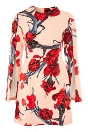 Manga Print Split Sleeve Aline Dress at Topshop