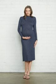 Mara Maternity Dress by Rachel Pally at Rachel Pally