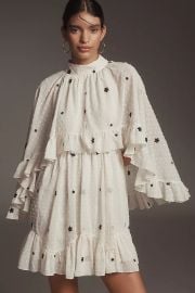 Mare Mare Embroidered Chiffon Cape Swing Mini Dress at Anthropologie
