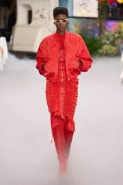 Marine Serre Fall 2024 Ready-to-Wear Collection Vogue at Vogue