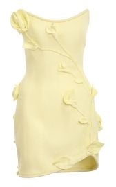 Matchmaker Rose Linen Mini Dress By Zimmermann at Moda Operandi