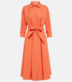 Max Mara Flavio Cotton Poplin Tie Waist Shirtdress at Mytheresa