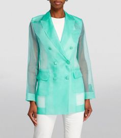 Max Mara Negrar Silk Organza Double Breast Jacket and Pants at Harrods