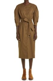 Max Mara Ughetta Balloon Sleeve Stretch Cotton Shirtdress at Nordstrom