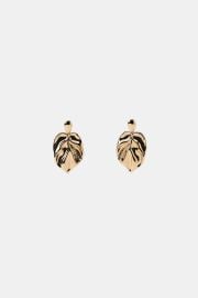 Maxi Metal Leaf Earrings at Zara