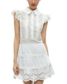 Meeko Embroidered Ruffle Sleeve Dress at Bloomingdales
