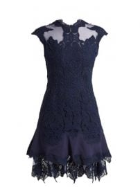 Mesh-insert fluted-hem lace dress at Matches