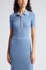 Metallic Rib Polo Sweater at Nordstrom