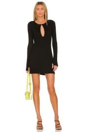 Michael Lauren Cutout Mini Dress at Revolve