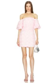 Milly Naia Mesh Rose Mini Dress at Revolve