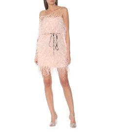 Monique Lhuillier - Feather-trimmed tulle minidress at Mytheresa