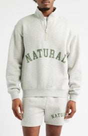 Museum of Peace Quite Arch Pigment Dyed Half Zip Graphic Sweatshirt at Nordstrom