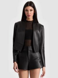 NEW HARVEY LEATHER JACKET in BLACK ALICE OLIVIA at Alice + Olivia