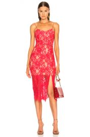 NICHOLAS Rubie Lace Bra Dress in Watermelon   FWRD at Forward