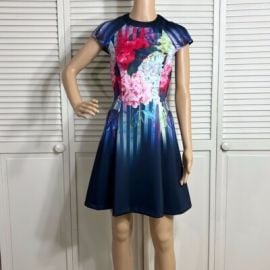 NWOT Ted Baker Haruka Floral Scuba Fit amp Flare Multicolor Dress Size 2 eBay at eBay