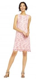 Nautilus Lace Shift Dress with Scalloped Hem at Adrianna Papell