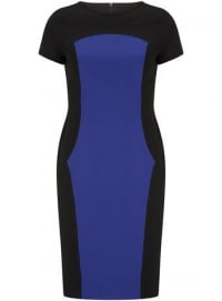 Navy and cobalt pencil dress at Dorothy Perkins