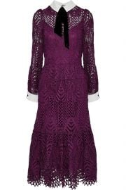 New Moon velvet-trimmed corded lace midi dress at The Outnet