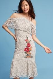 Nicole Miller Gramercy Lace Trumpet Dress at Anthropologie