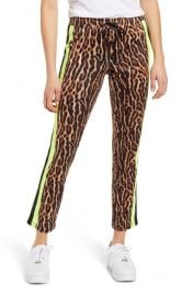 Ocelot Crop Track Pants at Nordstrom