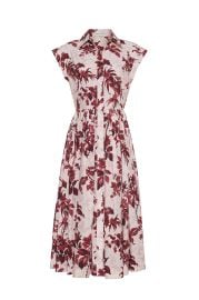 Octavia Dress at Cara Cara