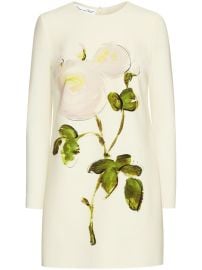 Oscar De La Renta Painted Roses Mini Dress Neutrals at Farfetch