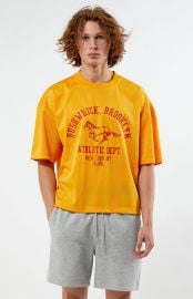 Pacsun Leagues Mesh Boxy Cropped Jersey T-Shirt PacSun at PacSun