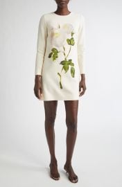 Painted Rose Long Sleeve Wool Blend Shift Dress at Nordstrom