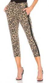 Pam  amp  Gela Leopard Pant with Sash in Leopard from Revolve com at Revolve