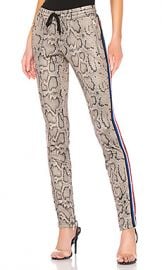 Pam  amp  Gela Snake Cigarette Pant in Python from Revolve com at Revolve