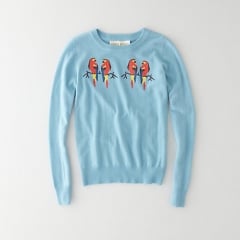 Parrot sweater by Lauren Moffatt at Steven Alan