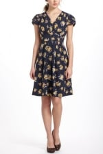 Penrose dress from Anthropologie at Anthropologie