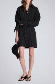 Pinstripe Long Sleeve Shirtdress at Nordstrom
