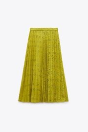 Pleated Skirt with Embroidery at Zara