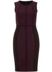 Plum Taped Pencil Dress at Dorothy Perkins