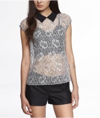 Point Collar Embroidered Top at Express