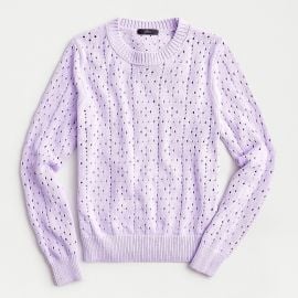 Point Sur allover pointelle crewneck sweater at J Crew