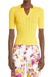 Pointelle Knit Polo Sweater at Nordstrom