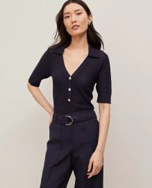 Pointelle Polo Sweater at Ann Taylor
